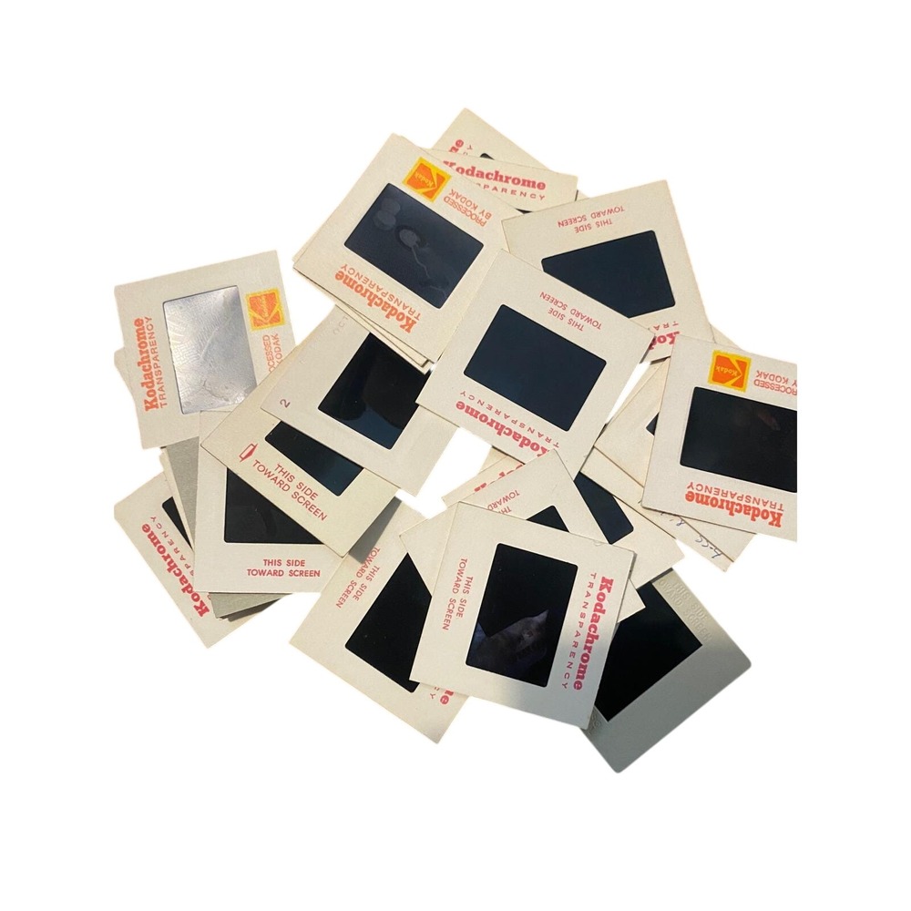 Vintage 1970s Cat Photo Slides Lot 28 Kodachrome 35mm Film Transparencies Kodak